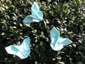 Schmetterling groß in türkis